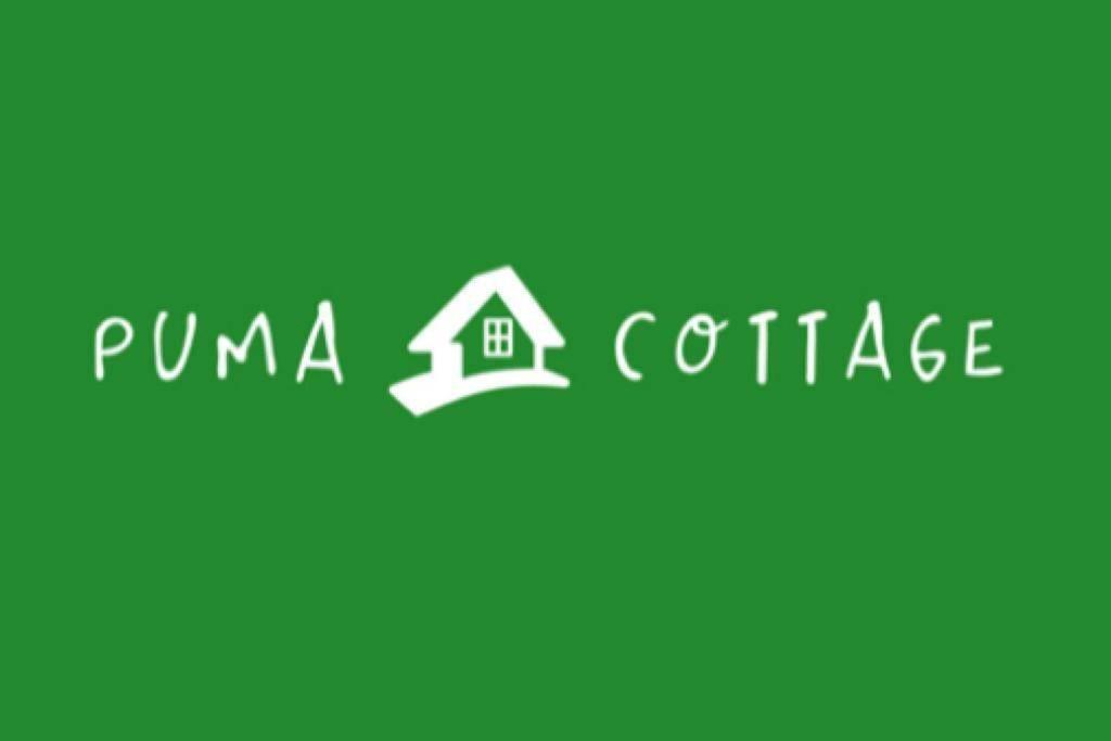 Puma Cottage Horcón Zewnętrze zdjęcie